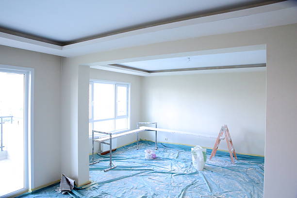 Best Ceiling Drywall Installation  in Payne, OH